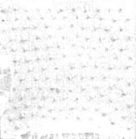 a2dtextrconssingles004