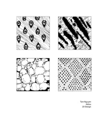 txFS09TNguyen