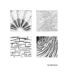 txIf08imorrison