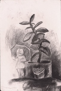 Rubber Plant77cp14x11