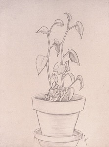 Plant77gp14x11