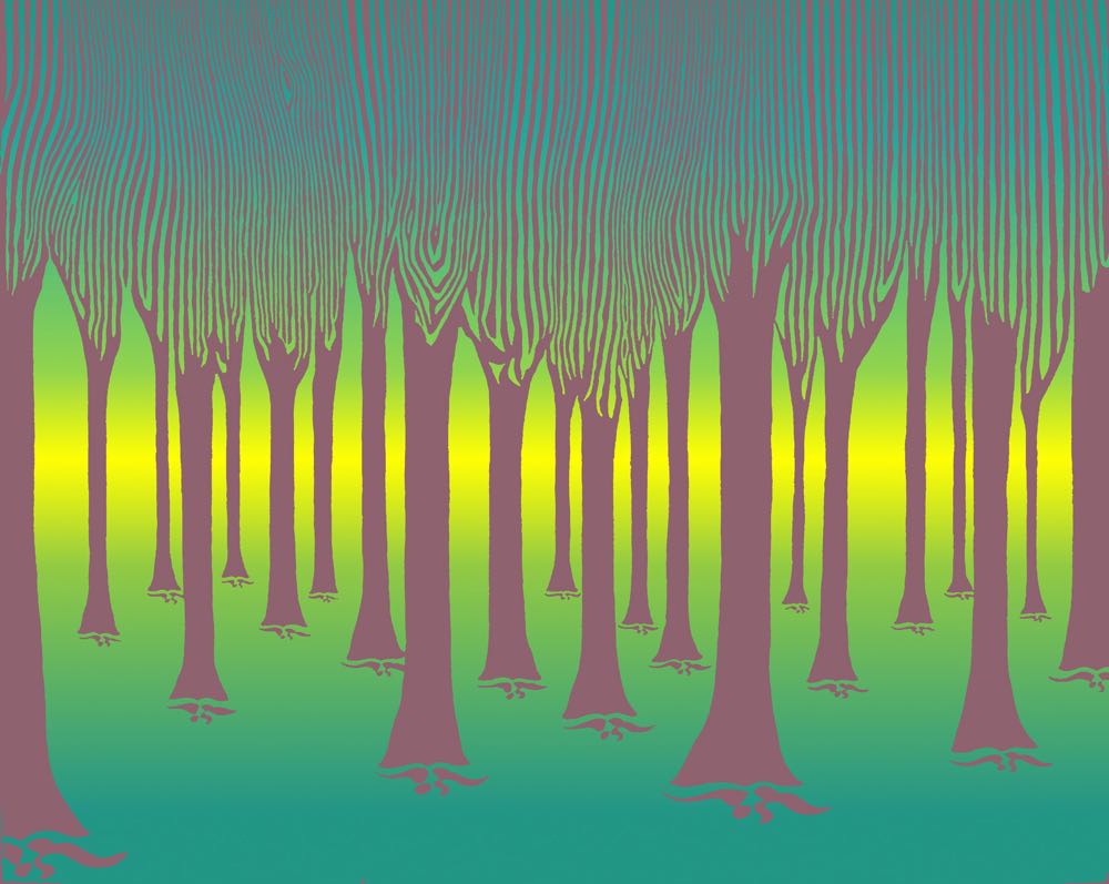 WoodForest12x15