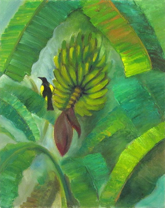 Calandria-en-Platano-2017-14x11